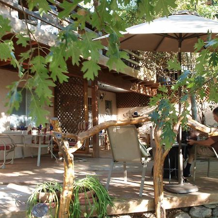 Wikiup Hummingbird Hotel Julian Extérieur photo