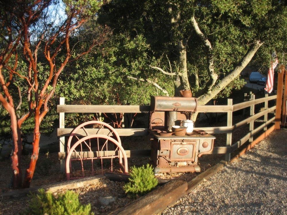 Wikiup Hummingbird Hotel Julian Extérieur photo