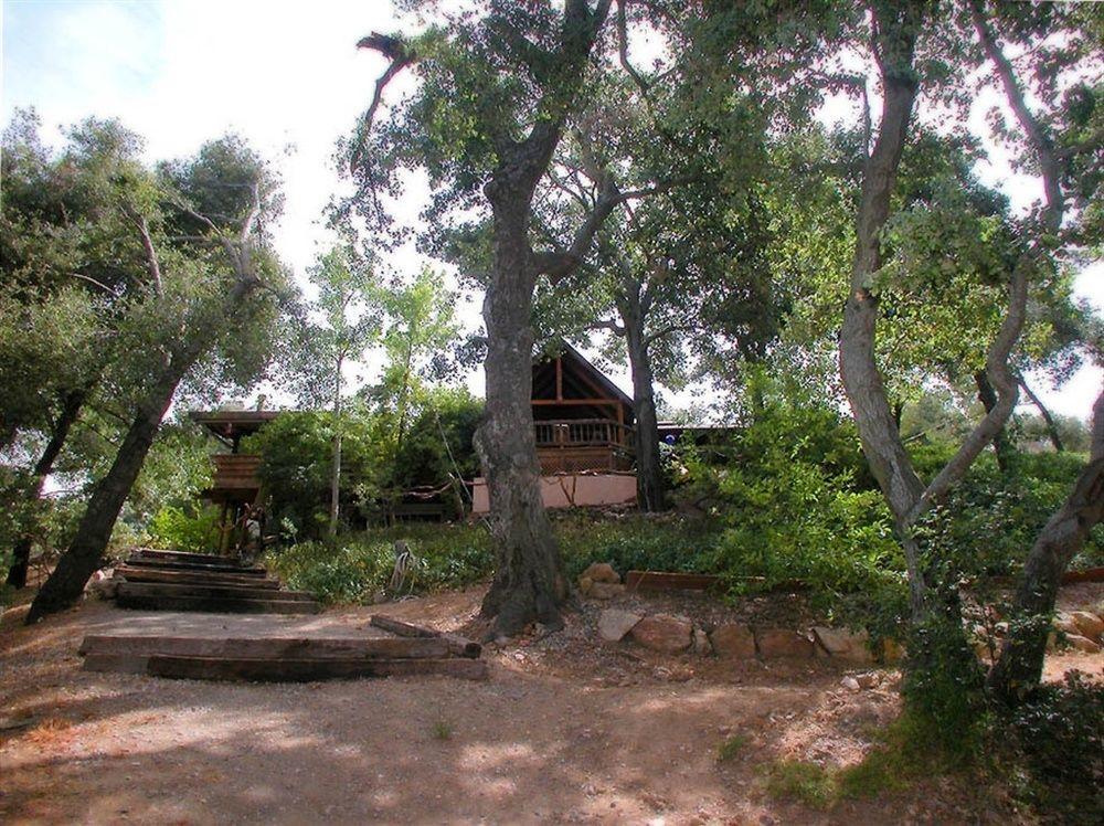 Wikiup Hummingbird Hotel Julian Extérieur photo