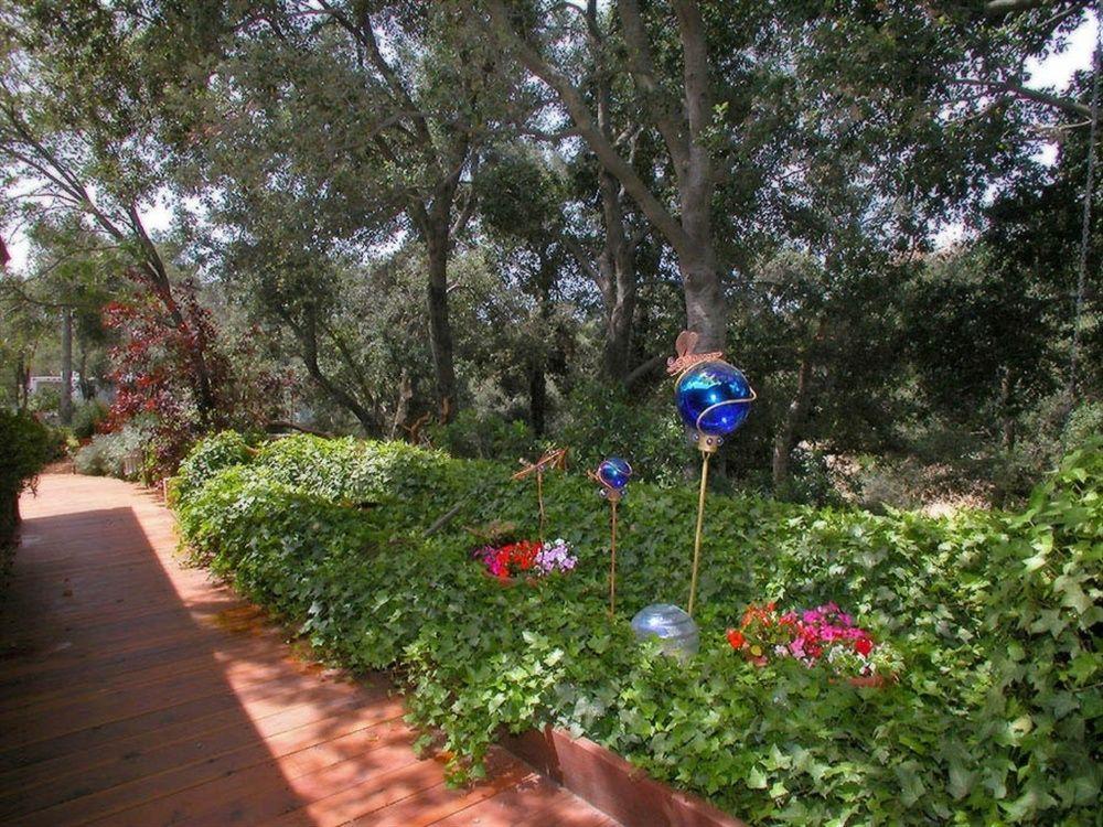 Wikiup Hummingbird Hotel Julian Extérieur photo