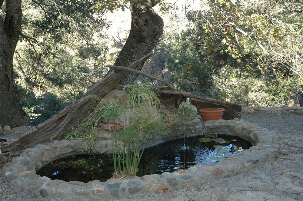 Wikiup Hummingbird Hotel Julian Extérieur photo