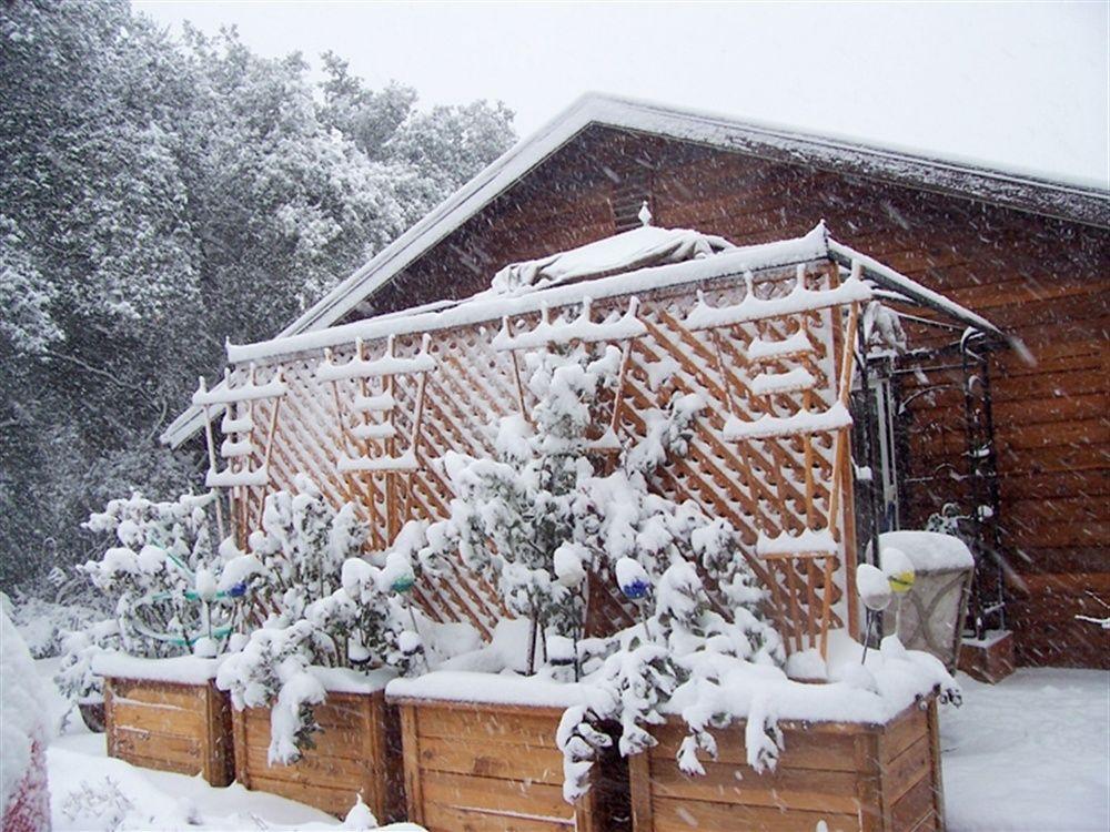 Wikiup Hummingbird Hotel Julian Extérieur photo